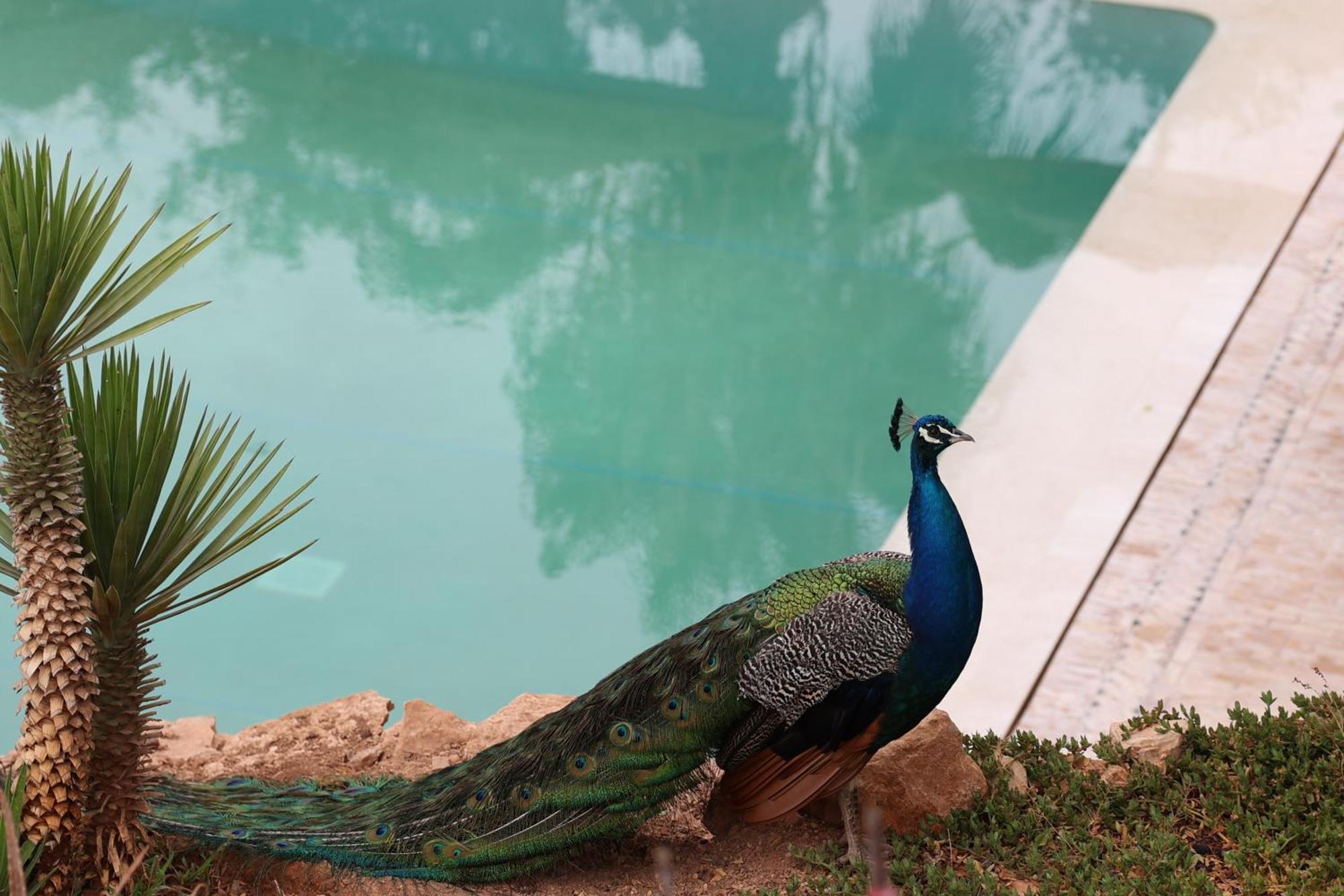 Paradis Nomade Azrarag Kültér fotó